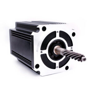 The Designing of High-Efficiency Brushless Permanent Magnet Machines Along With Driver System